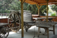 fattoria-039-ridotto