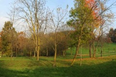 panoramica5bassa-ris-960